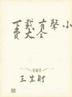 下载有声小说免费大全