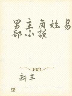 男主角姓易的全部小说