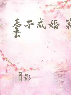 奉子成婚 第7季