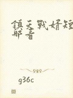 镇天战婿短剧在哪看