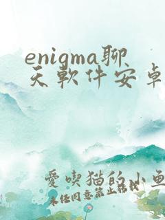 enigma聊天软件安卓手机怎么下载