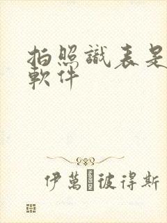 拍照识表是什么软件