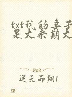 txt我的妻子是大乘期大佬下载