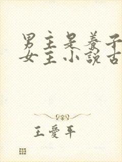 男主是养子爱上女主小说古言