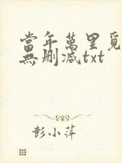 当年万里觅封侯无删减txt