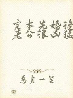 完本先婚后爱:老公很凶猛