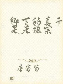 乡下的真千金竟是老祖宗