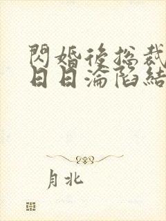 闪婚后总裁上司日日沦陷结局小说