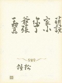 王爷你家萌妃太嚣张了小说