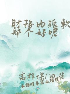 财务内账软件用哪个好呢