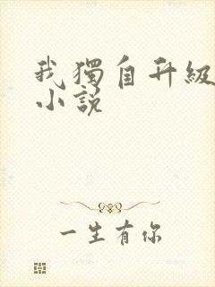 我独自升级免费小说