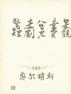 惊老公竟是总裁短剧免费观看