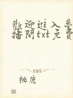 欢迎进入梦魇直播间txt免费阅读