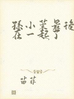 孙小茉最后和谁在一起了