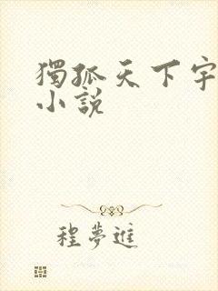 独孤天下宇文护小说