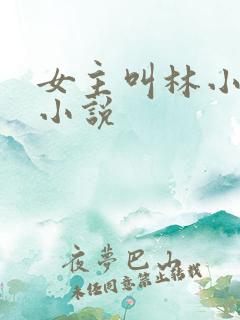 女主叫林小晚的小说