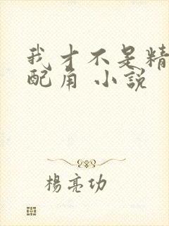 我才不是精灵文配角 小说