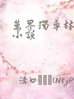 万界独尊林枫 小说