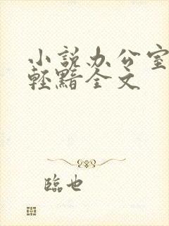 小说办公室隐婚轻黯全文