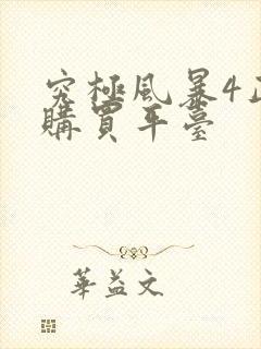 究极风暴4正版购买平台