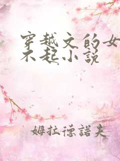 穿越文的女主伤不起小说