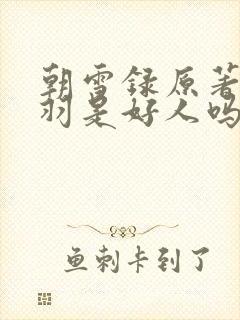 朝雪录原著秦朝羽是好人吗