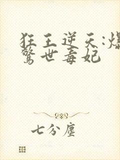 狂王逆天:爆宠惊世毒妃