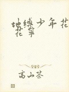 地缚少年花子君 花宁