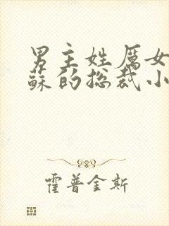 男主姓厉女主姓苏的总裁小说