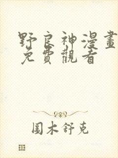 野良神漫画在线免费观看