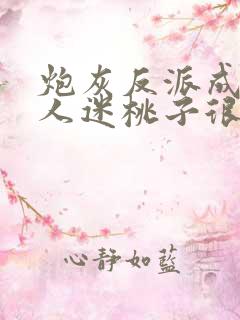 炮灰反派成了万人迷桃子很甜