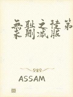 无耻之徒第三季未删减版