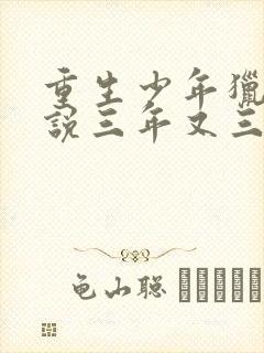 重生少年猎美小说三年又三年全文阅读