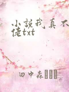 小说我真不是大佬txt