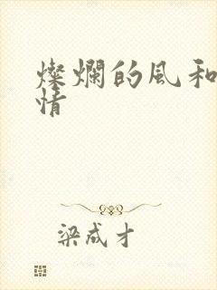 灿烂的风和海剧情