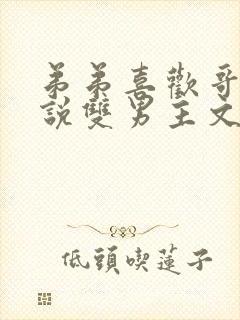 弟弟喜欢哥哥小说双男主文