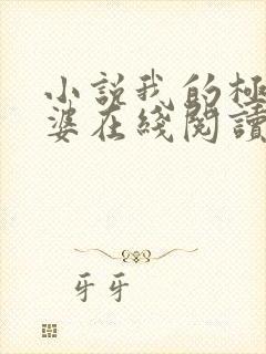 小说我的极品老婆在线阅读