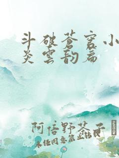 斗破苍穹小说萧炎云韵篇