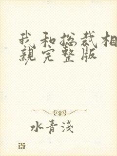 我和总裁相了个亲完整版