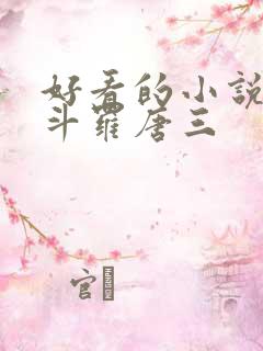 好看的小说穿越斗罗唐三