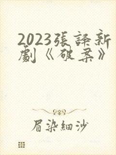 2023张译新剧《破案》免费播放全集