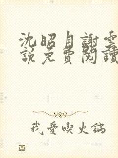 沈昭月谢云湛小说免费阅读最新章节