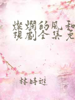 灿烂的风和海电视剧全集免费观看