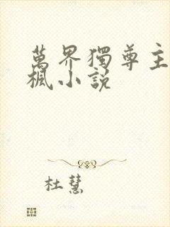 万界独尊主角林枫小说