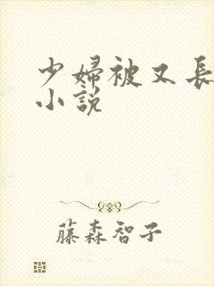 少妇被又长插入小说