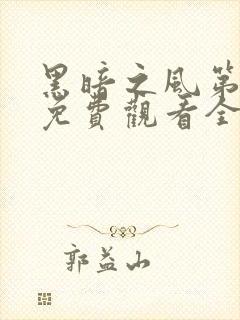 黑暗之风第一季免费观看全集高清