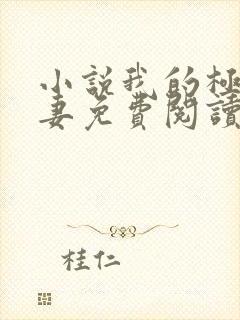 小说我的极品娇妻免费阅读