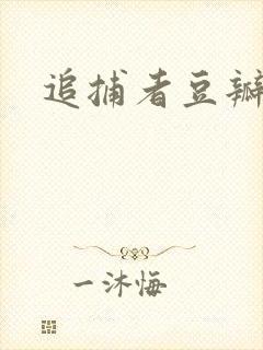 追捕者豆瓣评分