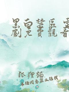 黑白禁区 电视剧免费观看高清