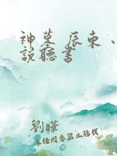 神墓 辰东 小说听书
